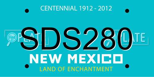 SDS280 New Mexico License Plate