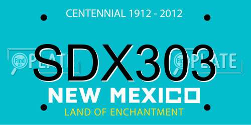 SDX303 New Mexico License Plate