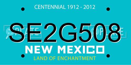 SE2G508 New Mexico License Plate