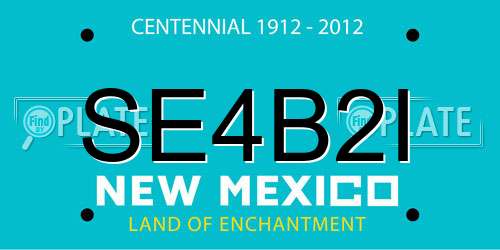 SE4B2I New Mexico License Plate
