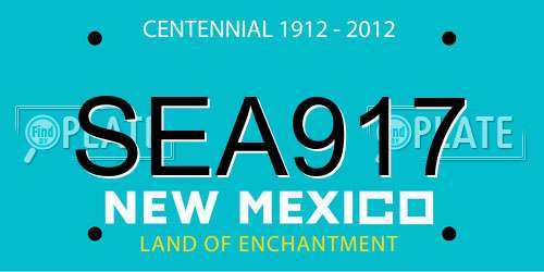 SEA917 New Mexico License Plate
