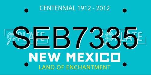 SEB7335 New Mexico License Plate