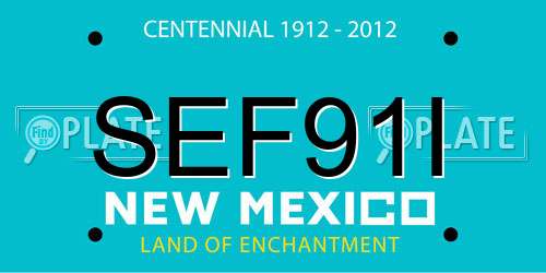 SEF91I New Mexico License Plate