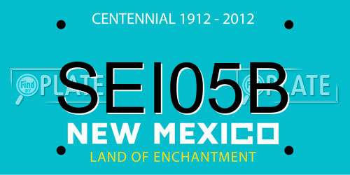 SEI05B New Mexico License Plate