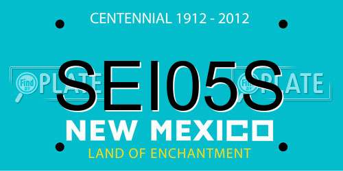 SEI05S New Mexico License Plate