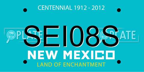 SEI08S New Mexico License Plate