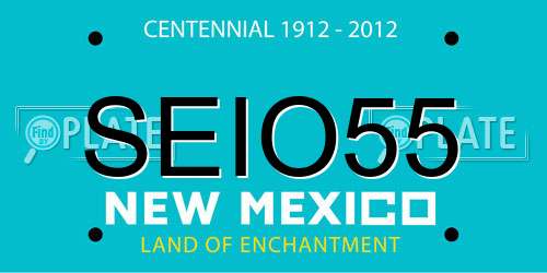 SEIO55 New Mexico License Plate