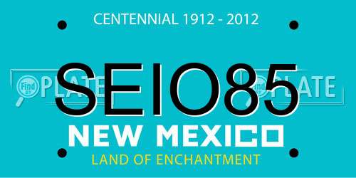 SEIO85 New Mexico License Plate