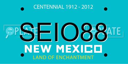 SEIO88 New Mexico License Plate
