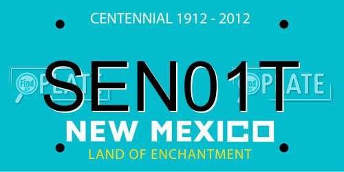 SEN01T New Mexico License Plate