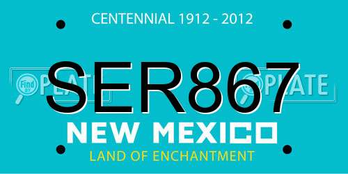 SER867 New Mexico License Plate