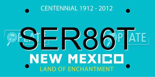 SER86T New Mexico License Plate