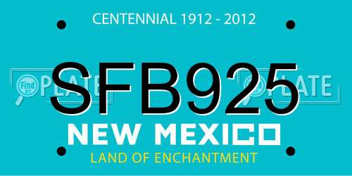 SFB925 New Mexico License Plate