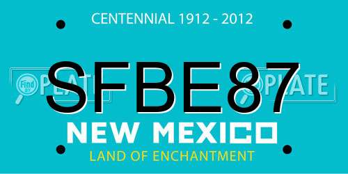 SFBE87 New Mexico License Plate