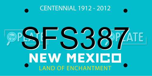 SFS387 New Mexico License Plate