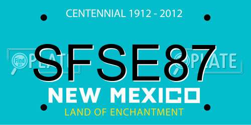 SFSE87 New Mexico License Plate