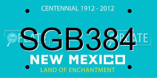SGB384 New Mexico License Plate