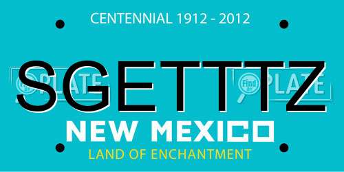 SGETTTZ New Mexico License Plate