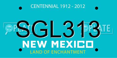 SGL313 New Mexico License Plate