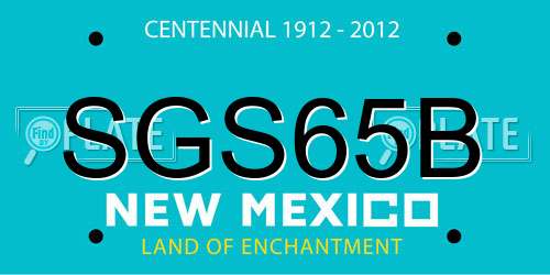 SGS65B New Mexico License Plate