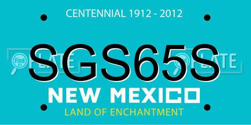 SGS65S New Mexico License Plate