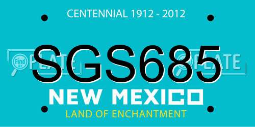 SGS685 New Mexico License Plate