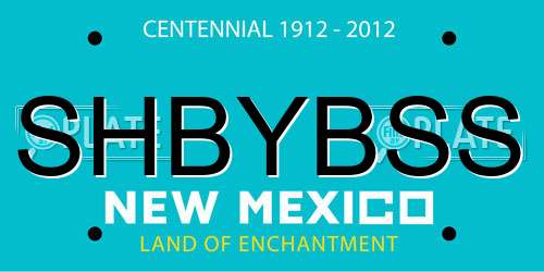 SHBYBSS New Mexico License Plate