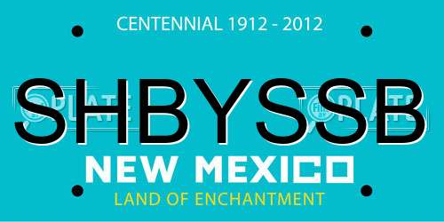 SHBYSSB New Mexico License Plate