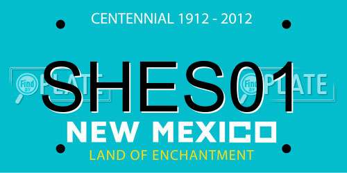 SHES01 New Mexico License Plate
