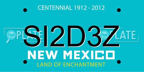 SI2D3Z New Mexico License Plate