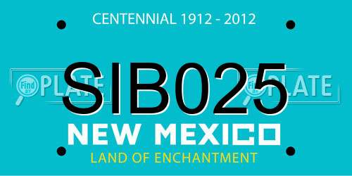 SIB025 New Mexico License Plate