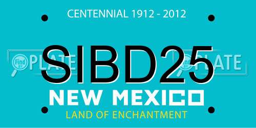 SIBD25 New Mexico License Plate