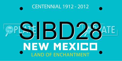 SIBD28 New Mexico License Plate
