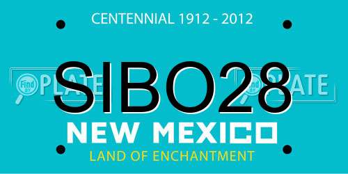 SIBO28 New Mexico License Plate
