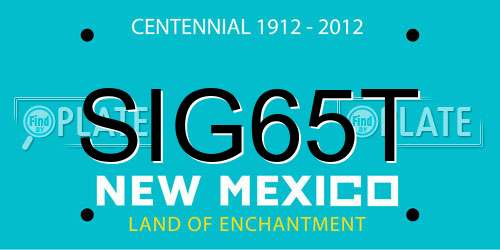 SIG65T New Mexico License Plate
