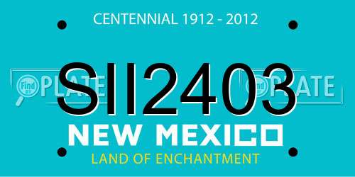 SII2403 New Mexico License Plate