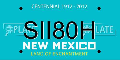 SII80H New Mexico License Plate