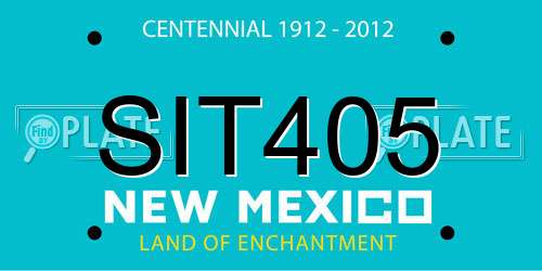 SIT405 New Mexico License Plate