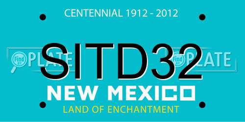 SITD32 New Mexico License Plate