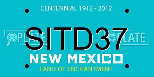 SITD37 New Mexico License Plate