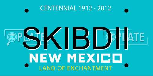 SKIBDII New Mexico License Plate