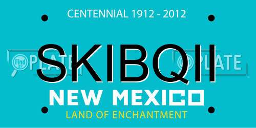 SKIBQII New Mexico License Plate