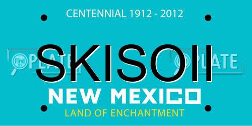 SKISOII New Mexico License Plate