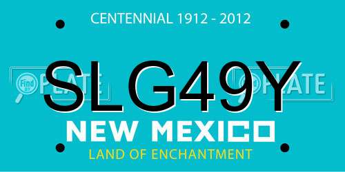 SLG49Y New Mexico License Plate