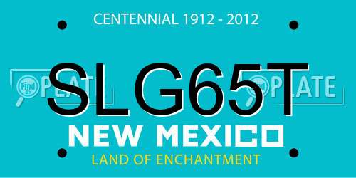 SLG65T New Mexico License Plate