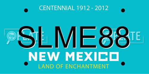 SLME88 New Mexico License Plate
