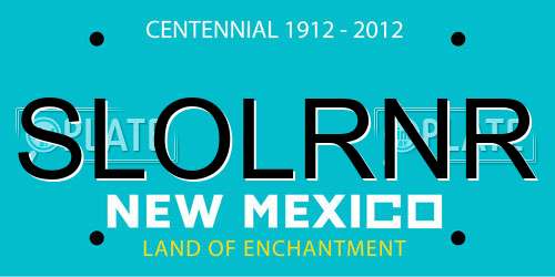 SLOLRNR New Mexico License Plate