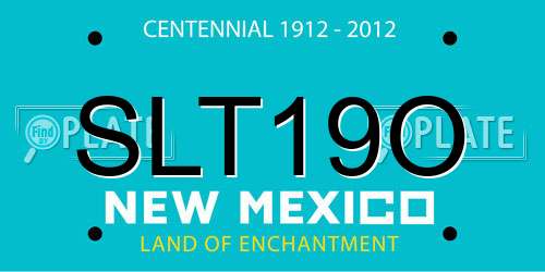 SLT19O New Mexico License Plate