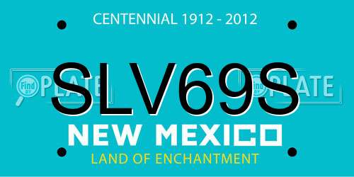 SLV69S New Mexico License Plate