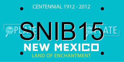 SNIB15 New Mexico License Plate